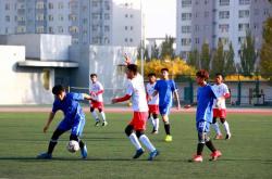 米兰体育平台-雄姿英发！欧洲国家队为胜利拼搏的简单介绍