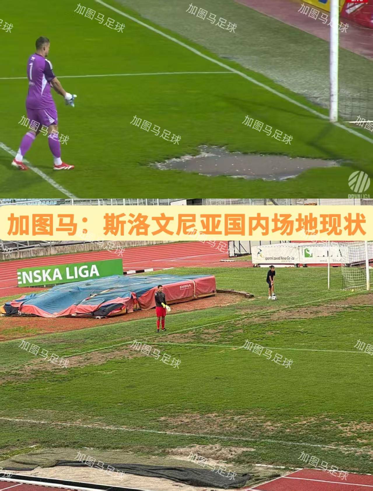 瑞典队凭借进球优势晋级,实力备受认可 瑞典队凭借进球优势晋级,实力备受认可