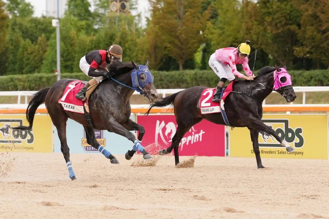 西方选手在马术比赛中斩获胜利 西方选手在马术比赛中斩获胜利